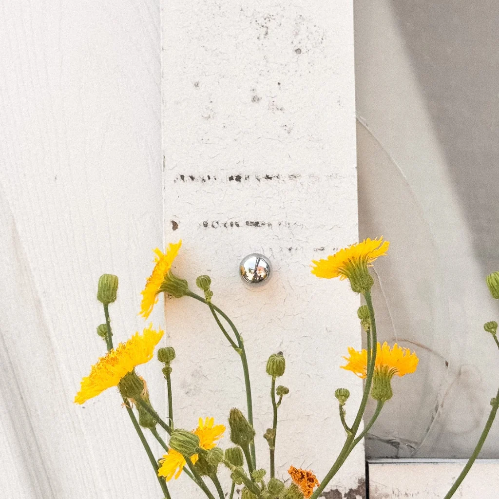 Mineral Nook Knob/Hook - Image 11